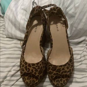 Have fun with a jungle cat